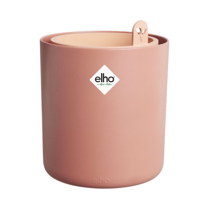 bouncy basil terra caramel